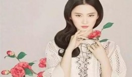 古风明星爆料视频,幕后爆料视频大揭秘